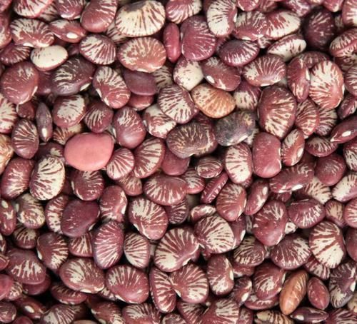 清肠|长寿老人爱吃的食物,排毒清肠,延缓衰老,增强抗病能力