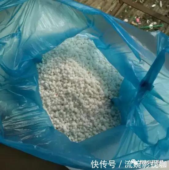 养花|吊兰黄叶“干尖”老花农说浇水少了1种“料”,连浇3次就变绿!