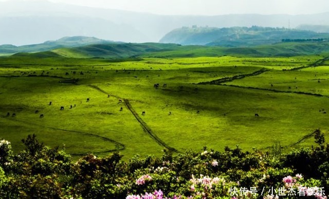贵州一座不知名的县城,四季如春,更有独特的魅力