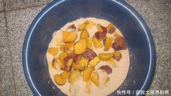 红薯加一物,专攻野生大鲤鱼,爱钓鱼的你别错过