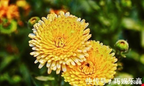 天仙子&北宋词人醉后睡醒,写下一首伤春词,其中七字惊艳世人