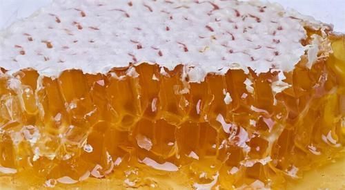 长寿|想长寿全靠吃，3种食物离不开，排毒养颜，身体棒棒哒！