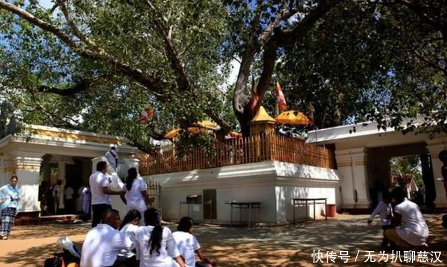 印度|为何越来越多印度教徒,开始皈依佛教呢?