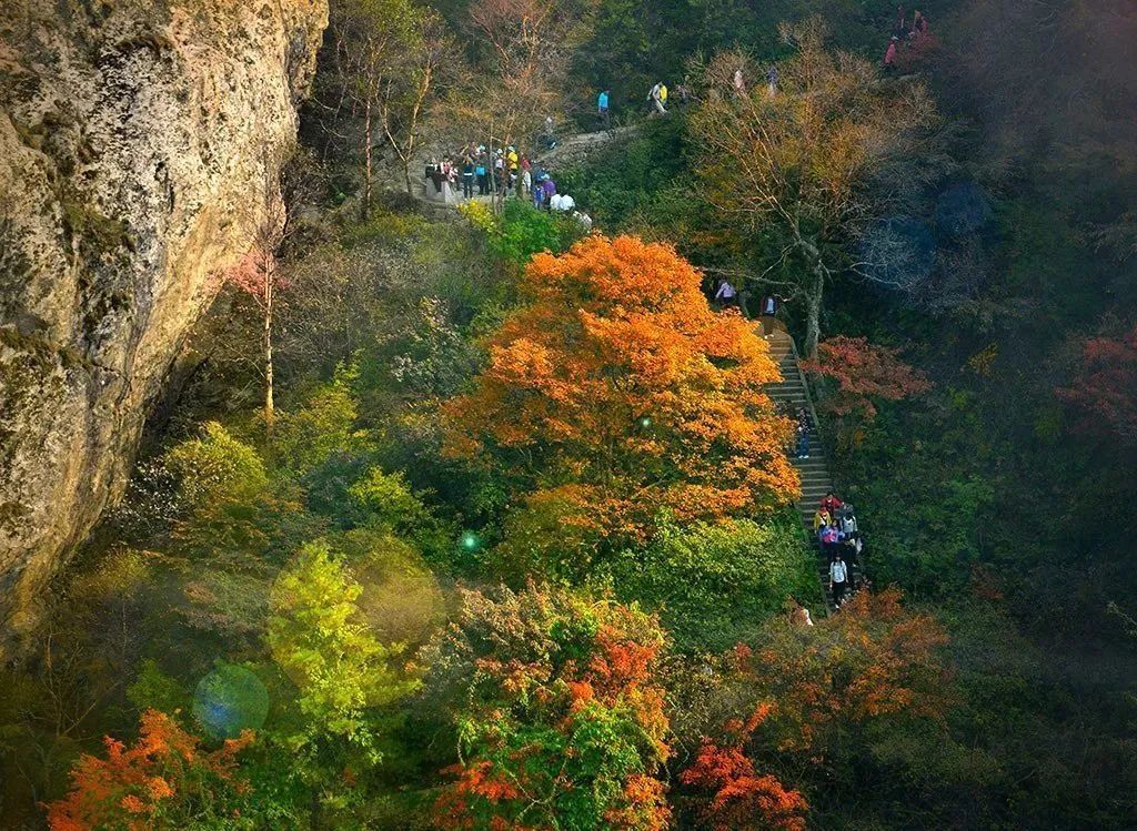 铜山|再不去就晚了！赏枫季来袭，驻马店这些地方的红叶美翻了