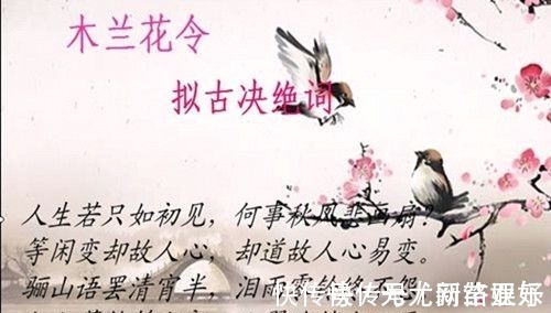 秋扇$人生若只如初见,何事秋风悲画扇?——纳兰性德