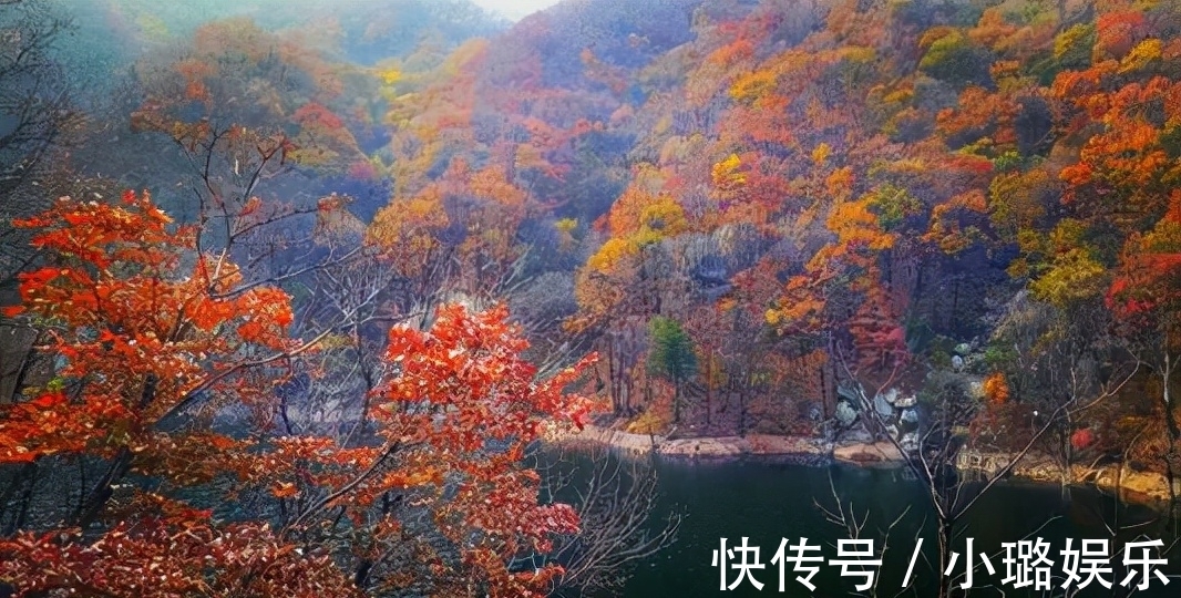 坐标|自驾游河南，赏遍中原红叶，趁免票，赶紧去这6个最美景区