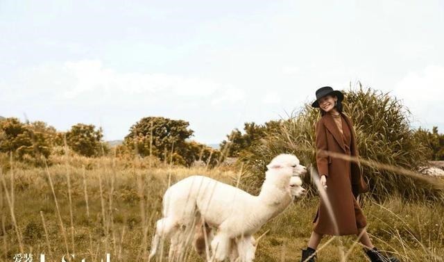 羊驼绒 这件羊驼绒大衣,比拥抱更暖!