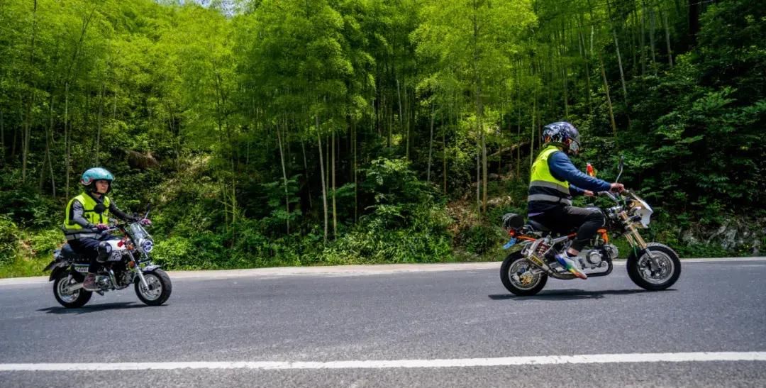 车队|上海车友安吉龙王山二日游