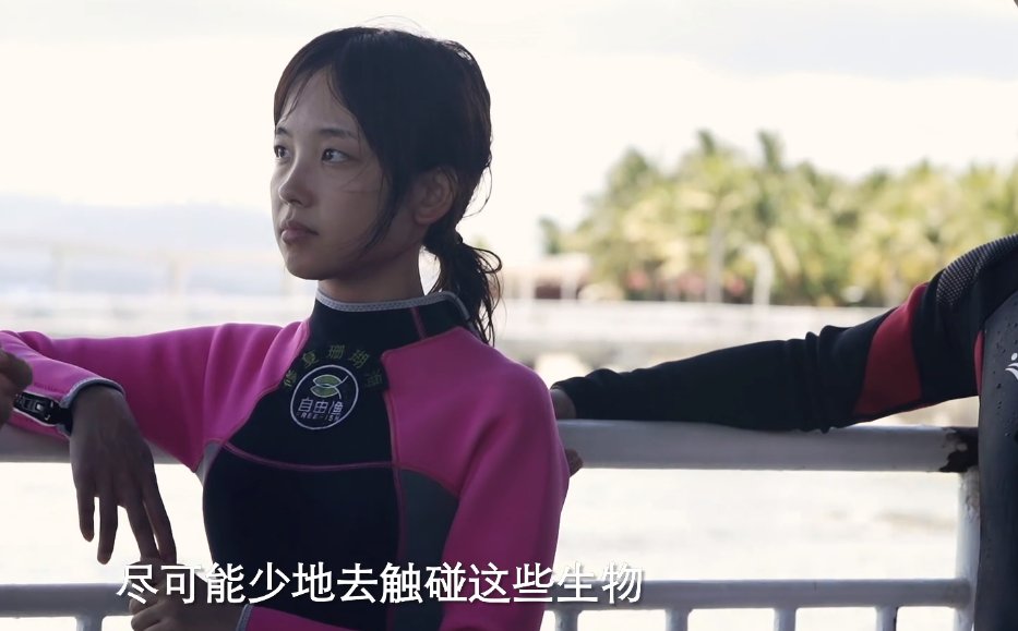 潜水|《你好生活》:保护珊瑚的意义重大,尼格买提呼吁保护珊瑚