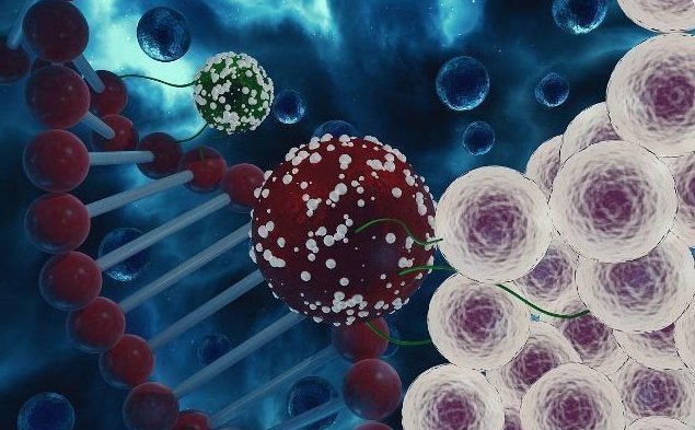 有排卵第13天着床的吗 有排卵第13天着床的吗