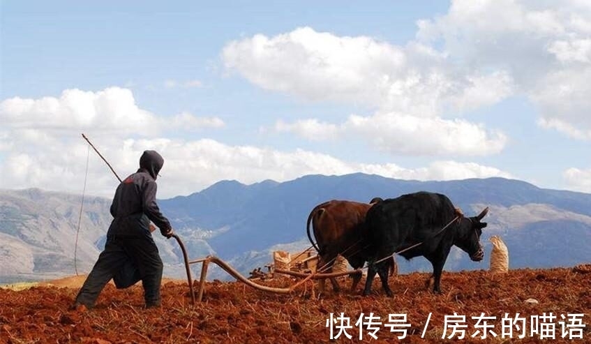 辛弃疾&1600年来唯一诗人,苏轼等百余大诗人为他点赞,到底是谁有此殊荣