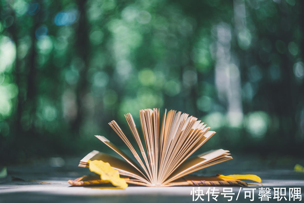 阅读&7天读完2本书！高效率的阅读方法，不仅可以提高速度，还记得牢