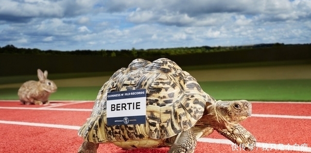 直击|直击最难以想象的十大吉尼斯纪录,这些你肯定不知道!