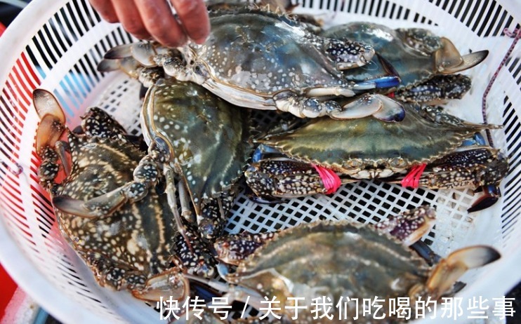 死蟹|挑梭子蟹,个头大未必好,渔民教你4招,个个肉多黄肥,鲜美好吃