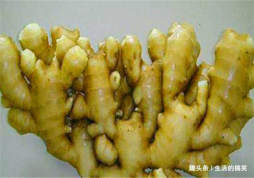 长寿|想长寿全靠吃4种食物,排毒抗衰,补益身体,补血益气,有益健康