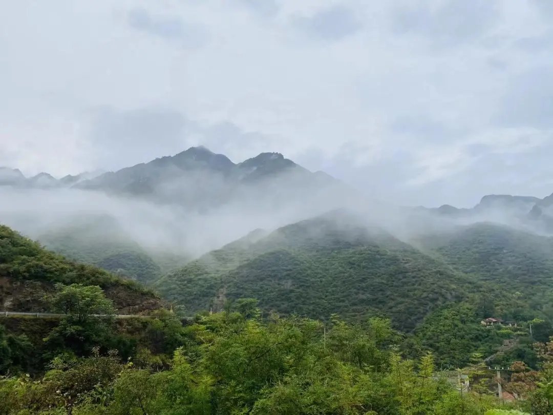 彩霞|彩霞与烟雨同在，仰望无限风光！