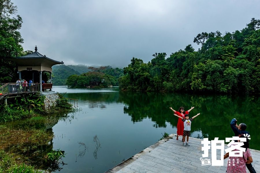 保亭|拍客丨游人走进海南五指山区热带雨林，享受节日的欢乐