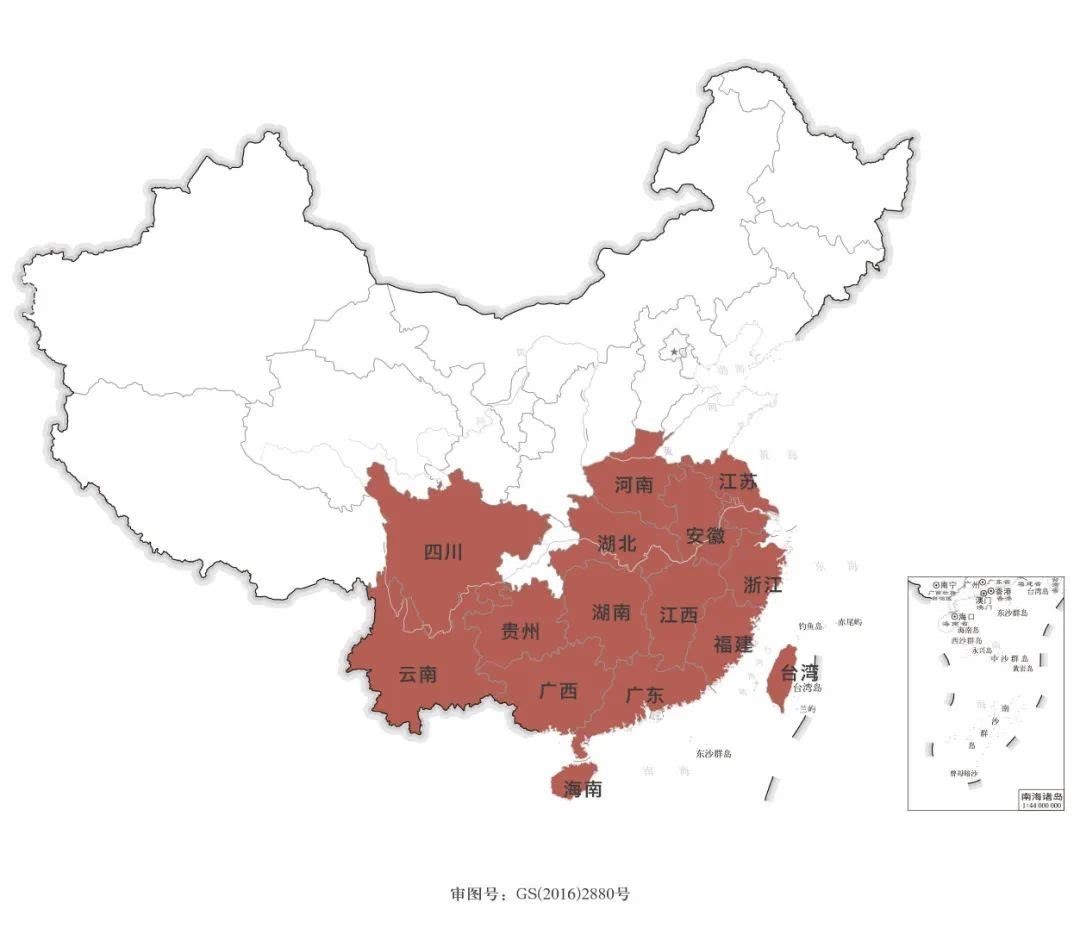 白茶|中国各省产茶名录