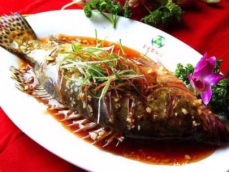 广西|广西野生鳜鱼泛滥?有钓友两小时钓了一桶,有人羡慕也有人恼怒