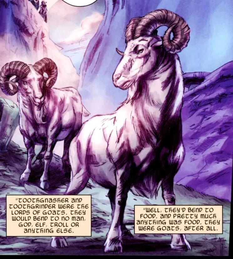 哇哦！《雷神4》锤哥将会拥有2只新宠物，战斗力还和他差不多