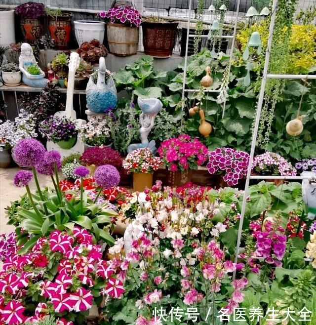 大叔的花园,亮点多多,惊艳了我,难怪大家都夸他太有生活情调了!