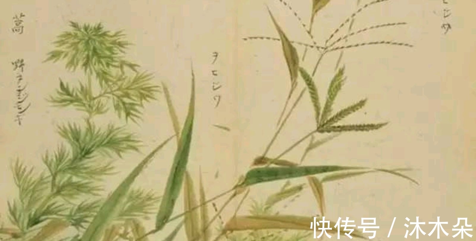 绿兮衣兮|两首悼亡诗，一首是丈夫思念妻子，一首是妻子思念丈夫，痛彻心扉