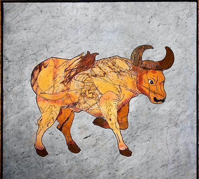 夫旺妻荣:这个星座女,所嫁之人,非富即贵,