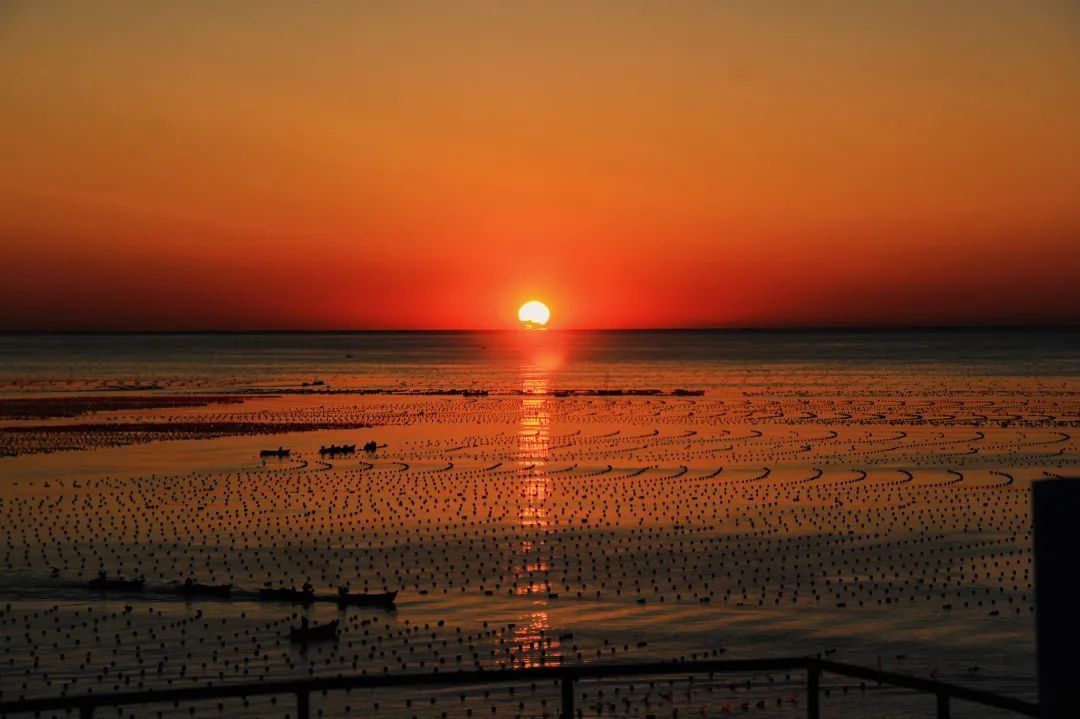 大医|海上日出：大医一天中最浪漫的时刻