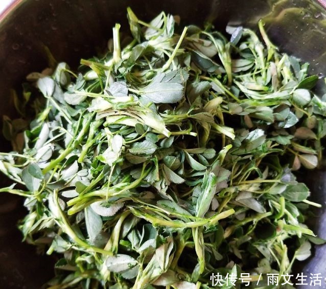 小馋猫|缺钙就吃一菜,称为“补钙库”,美味可口,长高个,孩子吃脾胃好