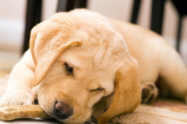 水地暖|为什么很多人不想装地暖内行人总结了6大缺点,住过的人都懂