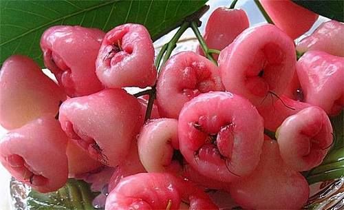 春天养生要会吃，坚持吃的食物，预防肥胖，减肥消脂，促进健康