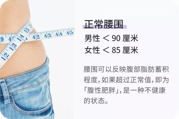 数字|胖不胖不能只看体重！这有22组数字，让你更了解身体状况