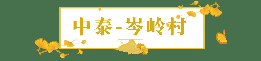 颜值|银杏染初冬，余杭迎来新一轮“颜值巅峰”！