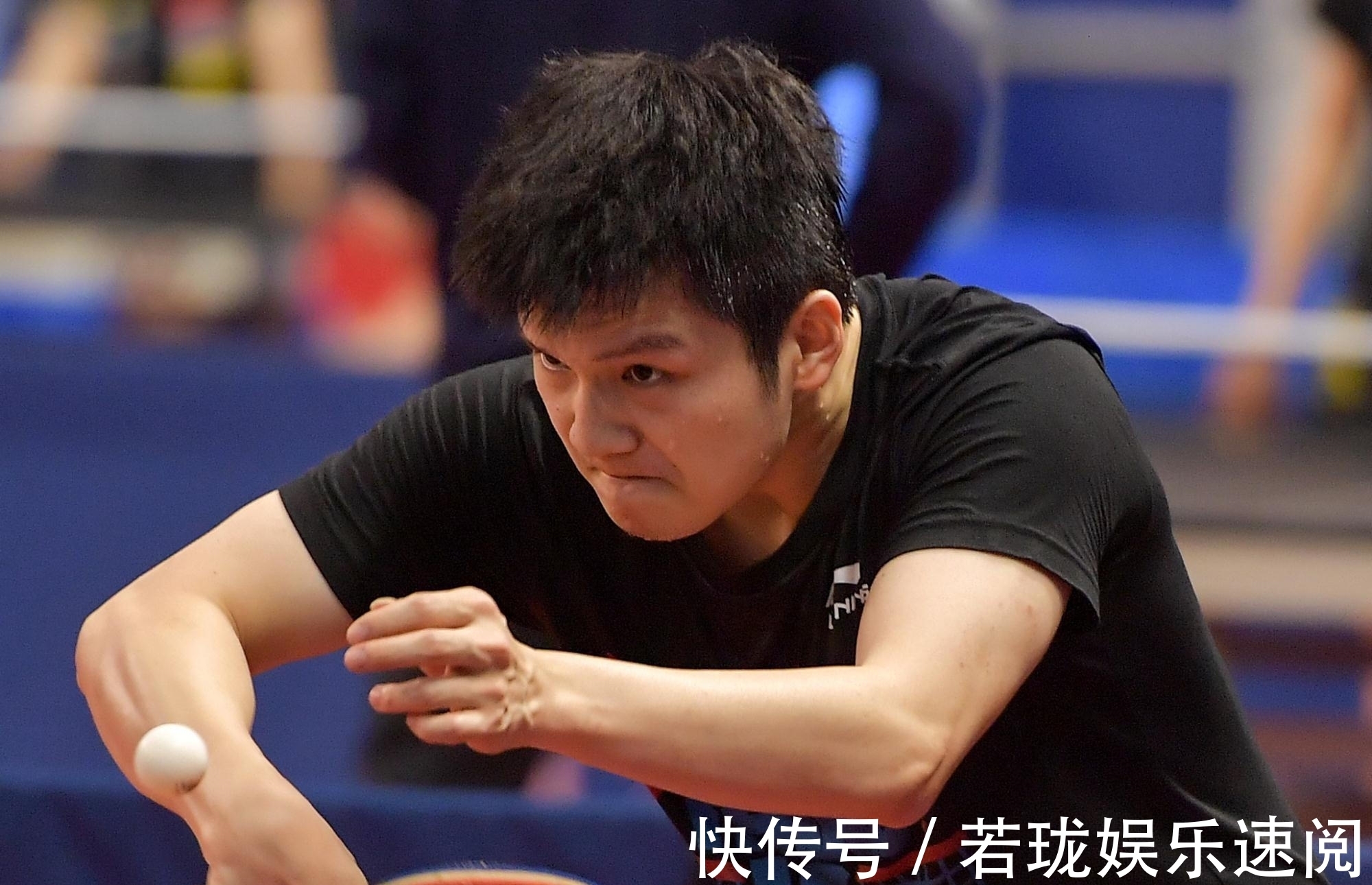 国家队|小胖樊振东不再沉默,开始主动回击,真正意义上宣告了自己的态度