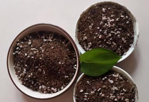 养花用复合肥，用法、用量该注意什么？