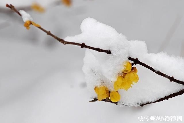 宋代书房是怎样的?周晋的这首词告诉我们，功能很全面很有艺术性