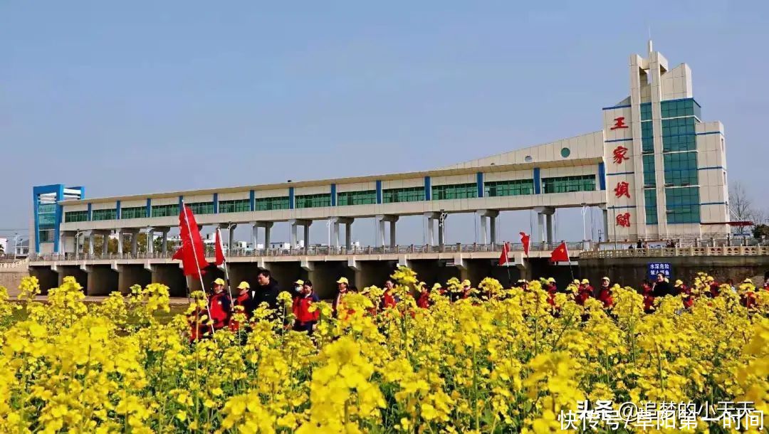 多图直击！阜阳这地方，再次爆红！为啥呢？