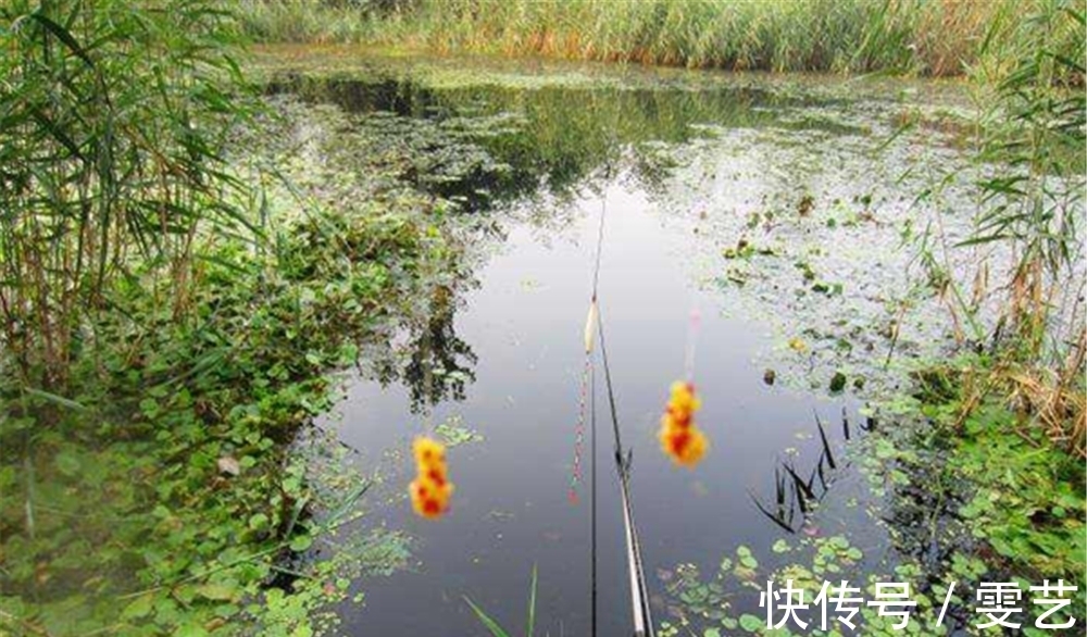 民间野钓大鲫鱼的4种方法,窝中鱼越钓越多,正适合仲春使用!