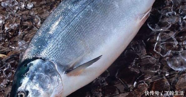 小孩|家里有小孩的,6种食物经常吃,增强记忆力,大脑更聪明