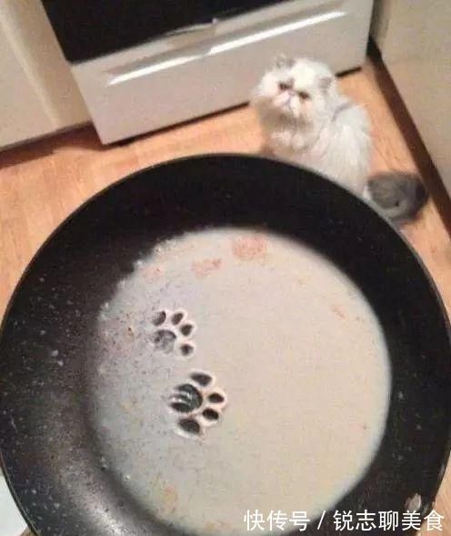 |爆笑段子:搭女同事的顺风车去办事,我坐在副驾驶