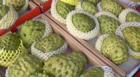 被誉为“最甜水果”,比甘蔗甜,南方大量种植,北方却少有人吃过