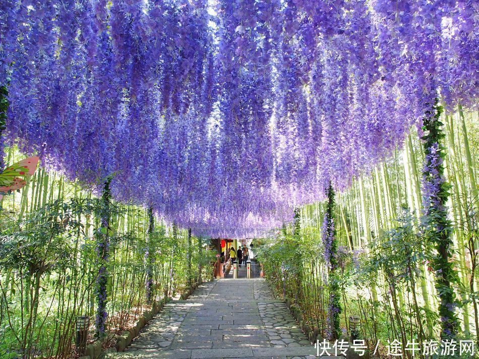 桐庐天子地，集樱花林、溶洞、湖泊峡谷的小众目的地，人少景美