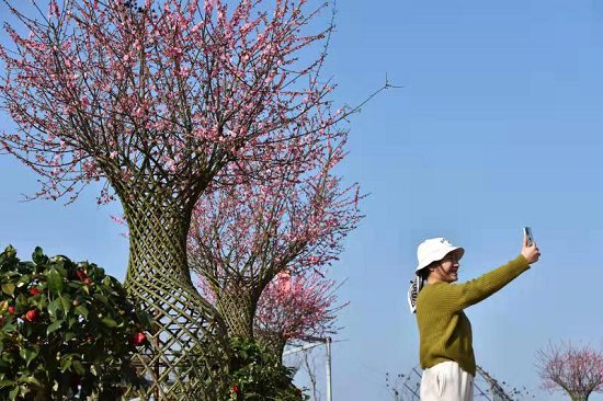 湖南省衡东县：乐享春色 欢度春节