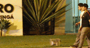 |搞笑GIF:不会合理利用工具来吹头发,那还能叫老司机吗