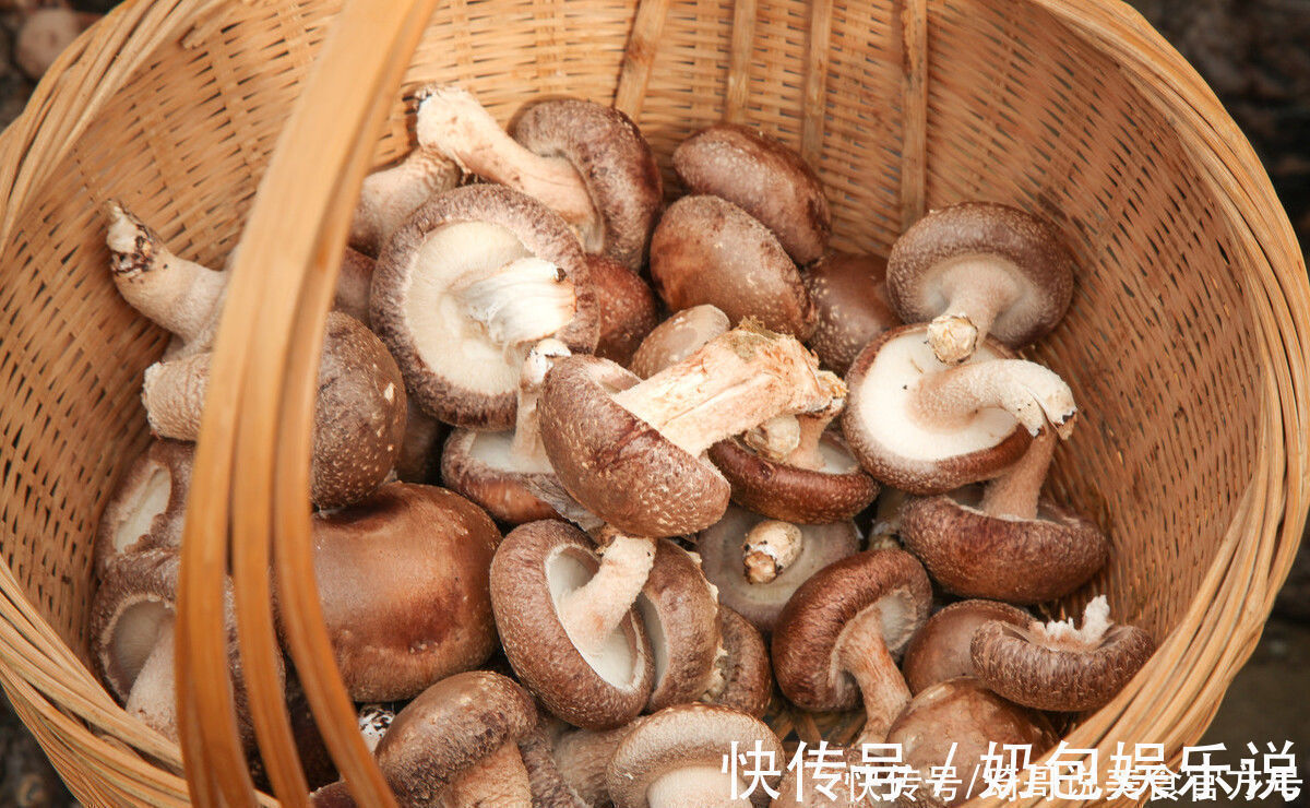 买香菇,挑大的还是小的?牢记“3买3不买”,谁也不敢忽悠你