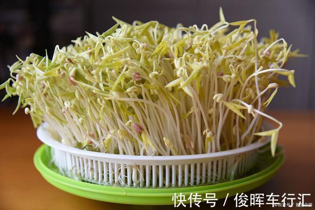 如意菜|小暑,无论有钱没钱,都要吃“小暑三宝”,应季而食平安入伏