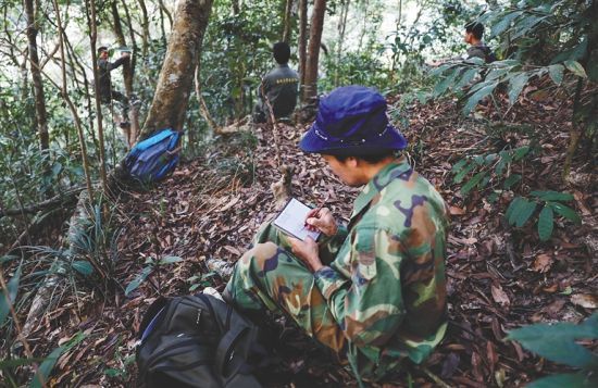 植物|海南热带雨林国家公园为生物多样性保护贡献“智慧”