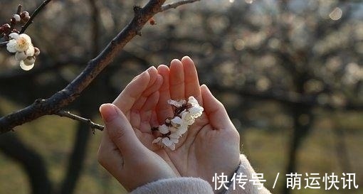 生肖狗|近几天，财运上升，不再悲伤，失而复得，旧爱靠近，执手相爱到老