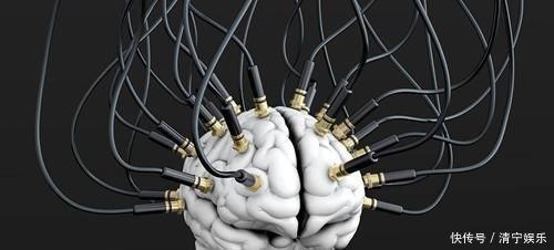 119岁老人脑龄才40岁,医生都羡慕,秘诀很简单吃它就“完事”了