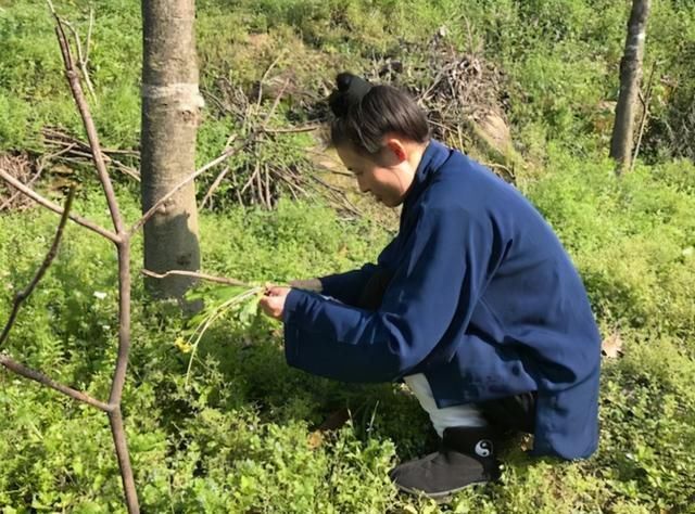  微信|武当山的女道士，能玩微信玩手机，唯独恋爱是不被允许的